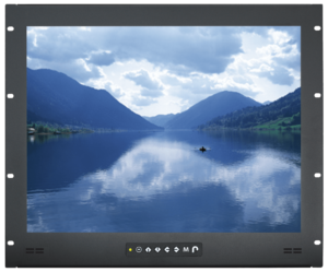 RP-920 - 9U 20" Display Panel