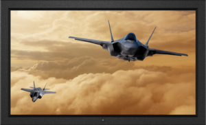 1080p Professional LCD